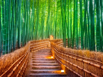 Der Weg zum Genuss-